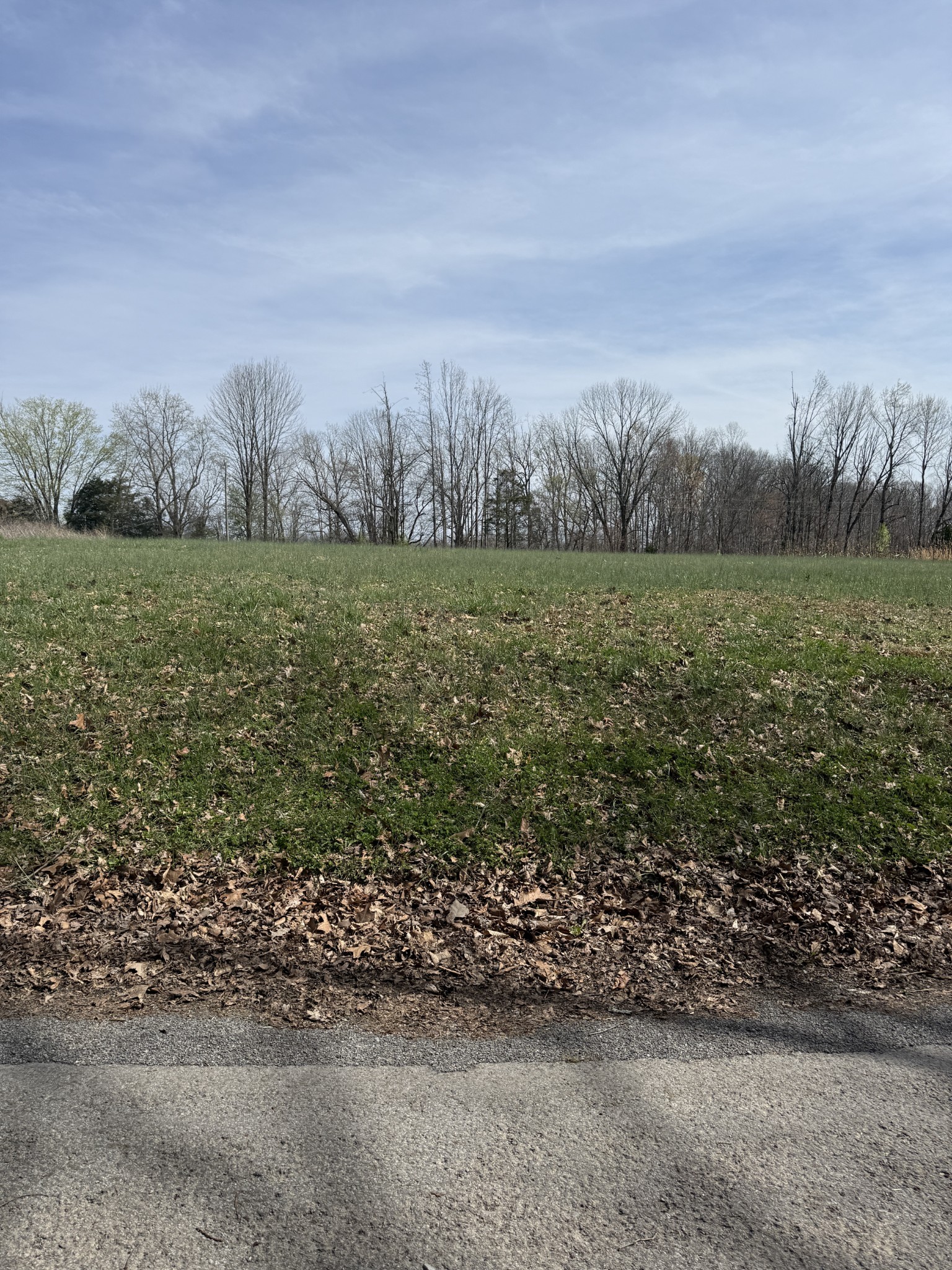121 Magnolia Lane Red Boiling Springs, TN 37150 - Photo 10 of 10 an aerial view of field with trees in background