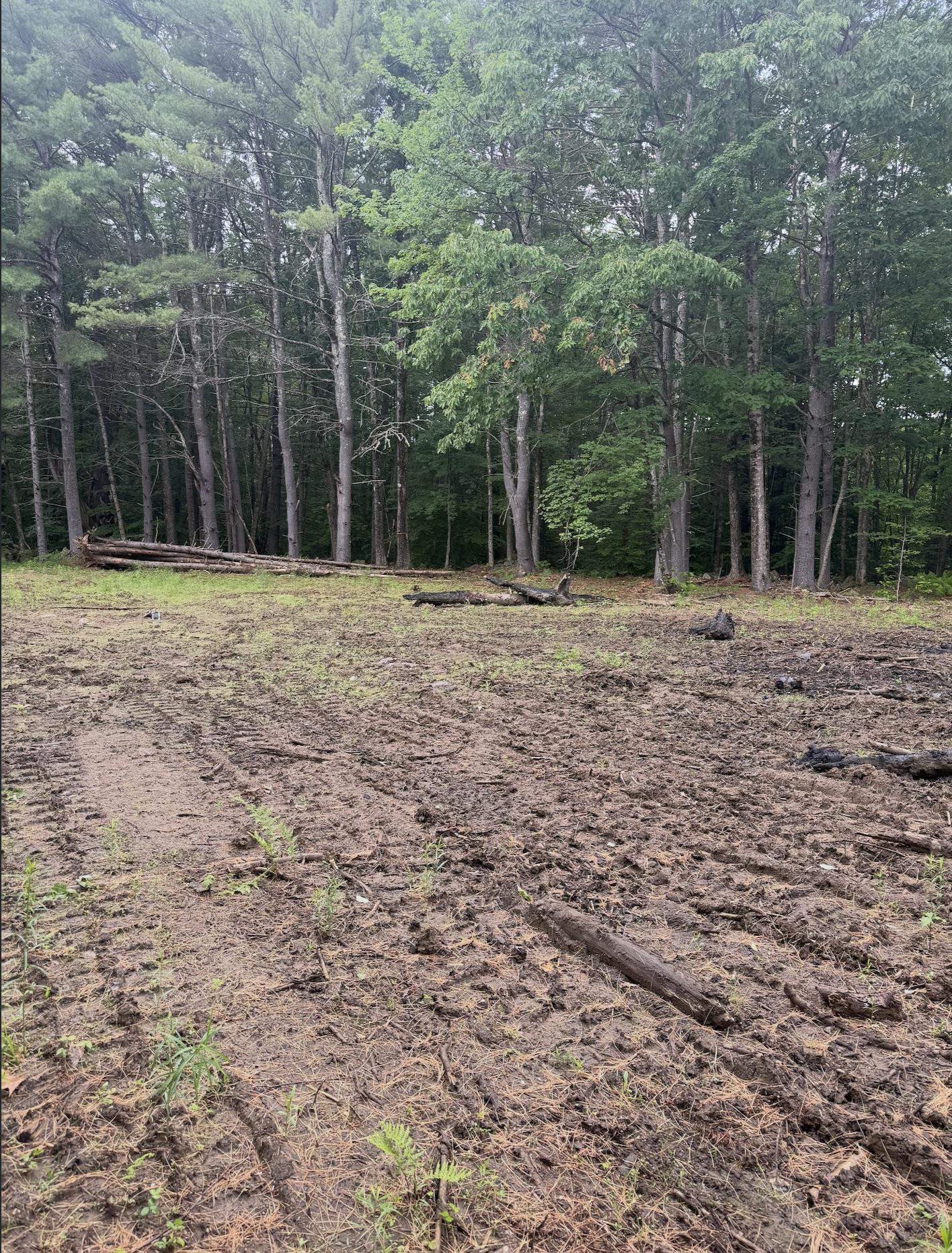 140 Middle Route Gilmanton, NH 03837 - Photo 6 of 6