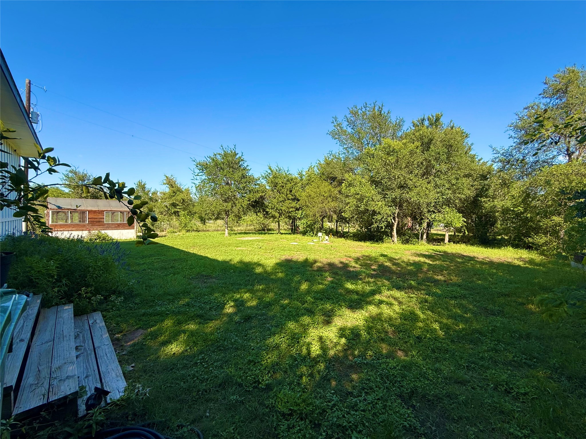 739 Pleasant Grove Road Elgin, TX 78621 - Photo 28 of 29 Expansive grassy yard with mature trees and a detached wooden structure