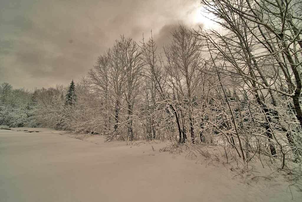 1014 Calais Road Hodgdon, ME 04730 - Photo 16 of 84 farm-field-wooded-land-main