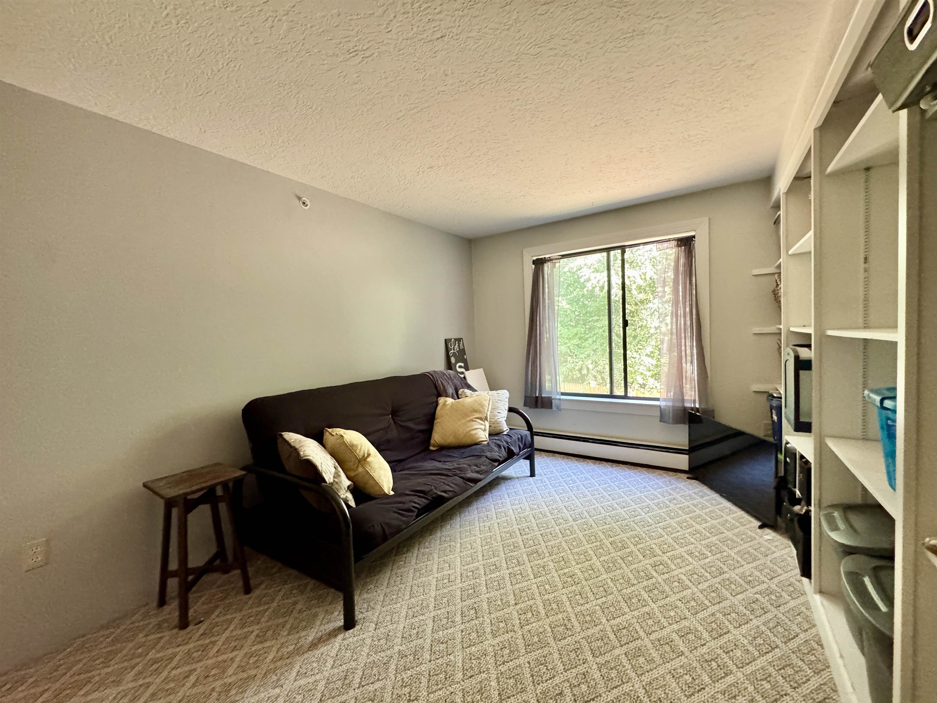 19 Saco Street, Unit 59 Conway, NH 03813 - Photo 19 of 30