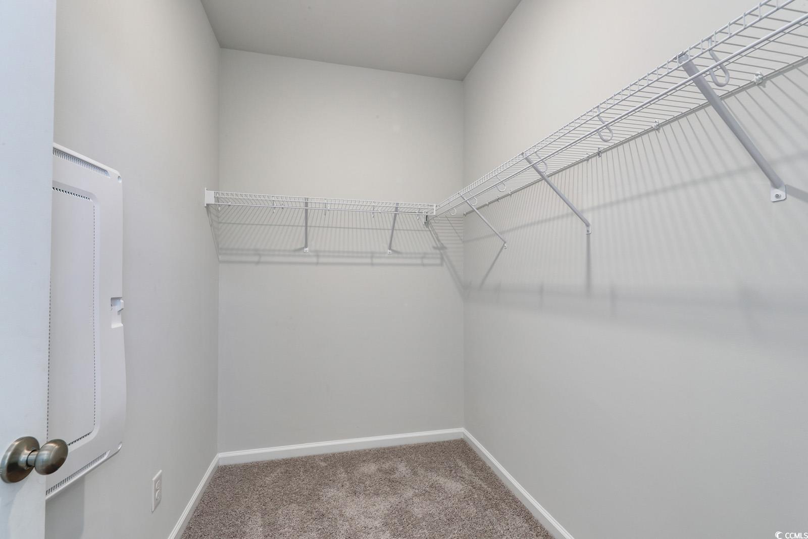235 Sundrop Way Conway, SC 29526 - Photo 15 of 24 Walk in closet featuring light colored carpet