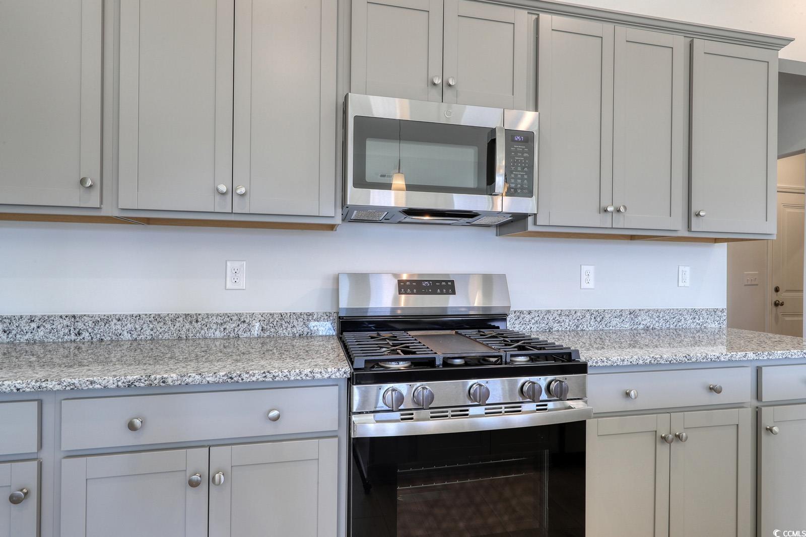 235 Sundrop Way Conway, SC 29526 - Photo 4 of 24 Kitchen with appliances with stainless steel finishes, gray cabinetry, and light stone counters
