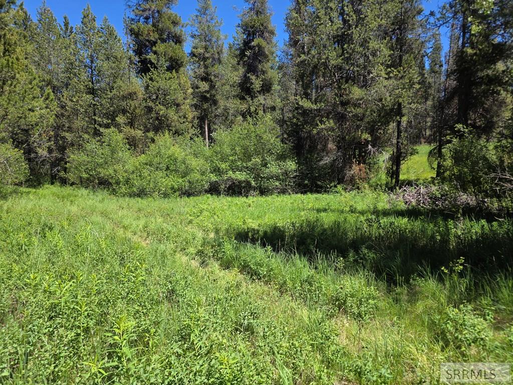 4585 East 1400 Road North Ashton, ID 83420 - Photo 25 of 31