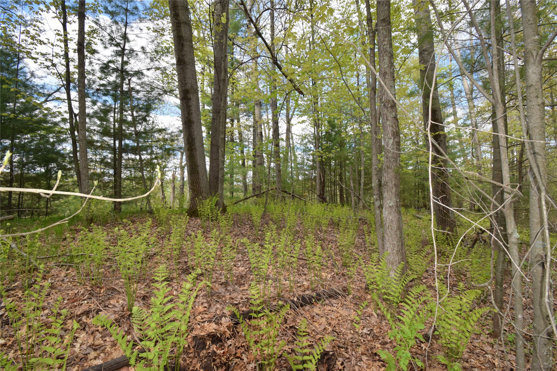 25383 Mansfield Road Webster, WI 54893 - Photo 10 of 36