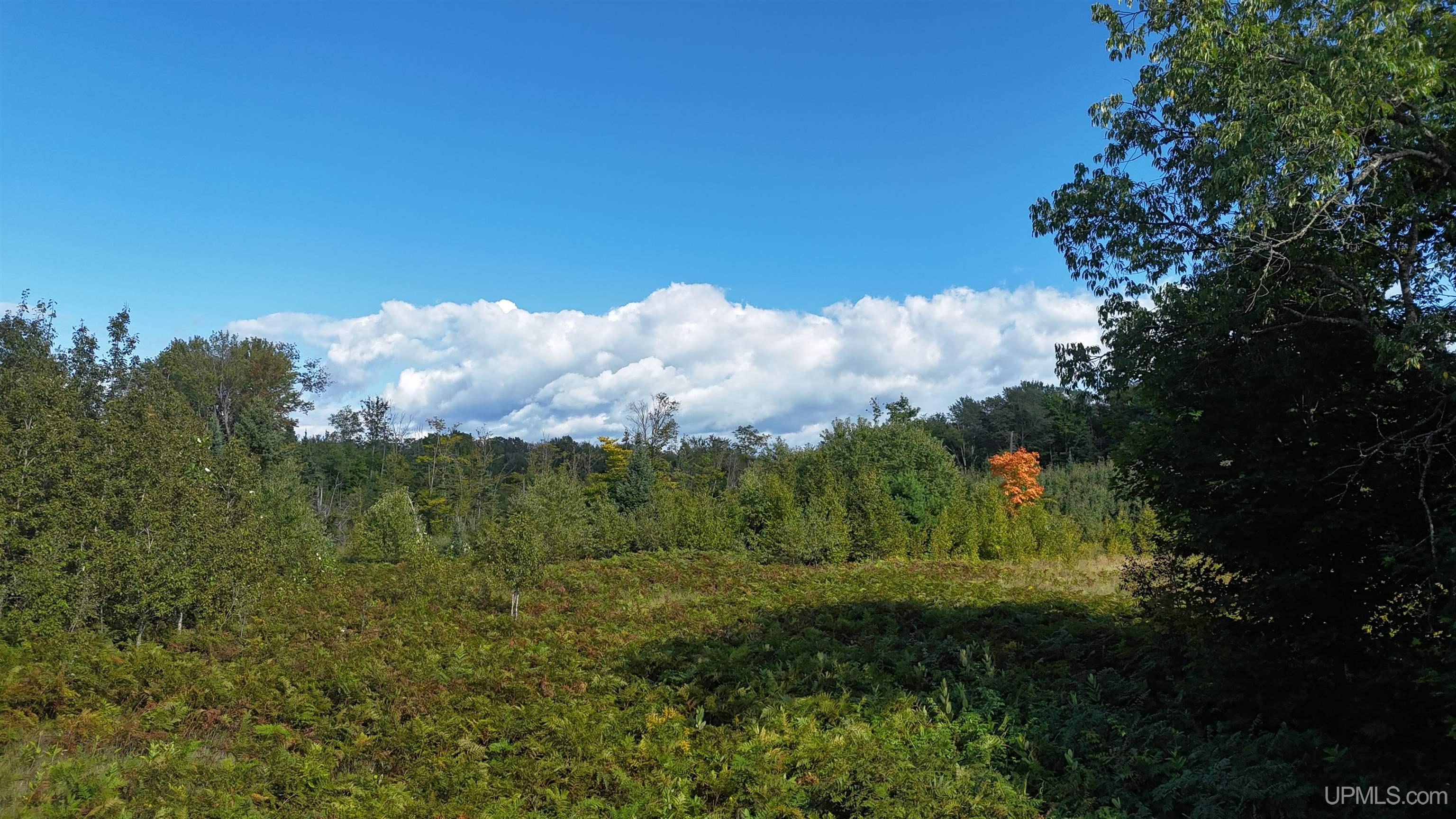 Tbd West Ford Lake Road Germfask, MI 49836 - Photo 14 of 22 Gallery Image 14