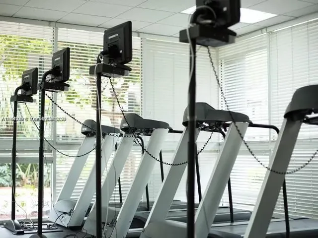 a view of gym equipment with windows