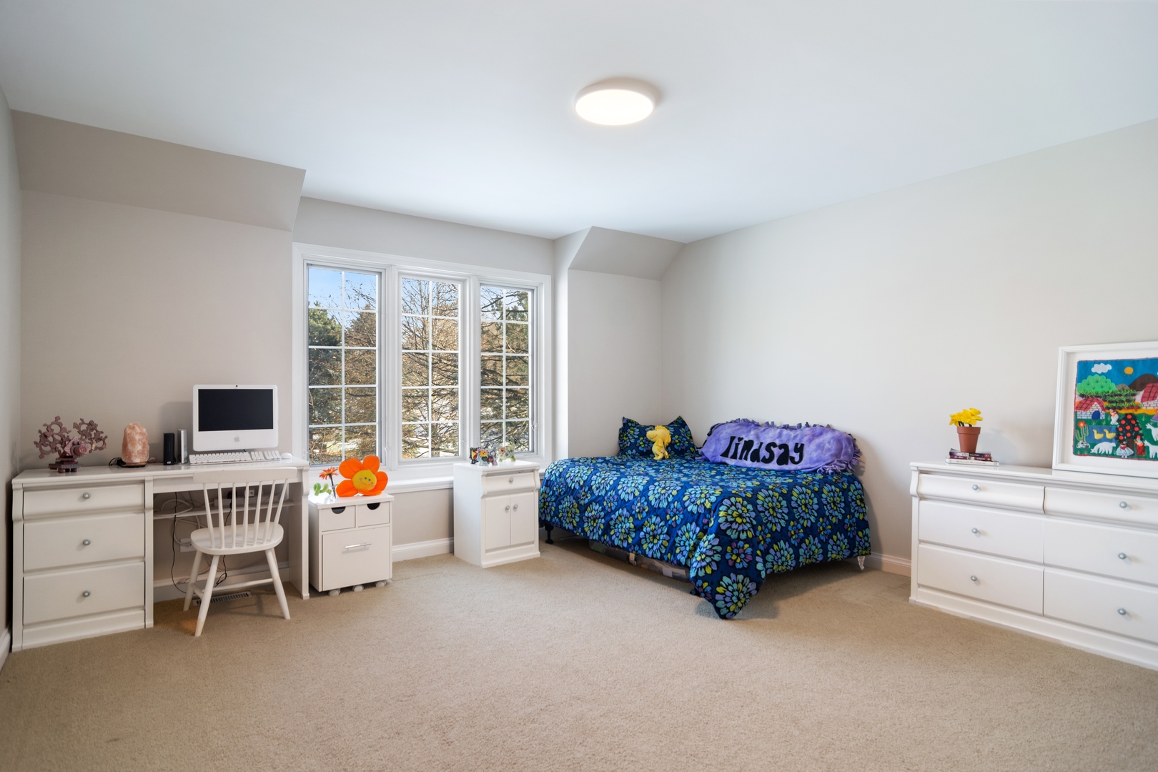 6238 Pine Tree Drive Long Grove, IL 60047 - Photo 18 of 28 a bed room with a bed and a desk