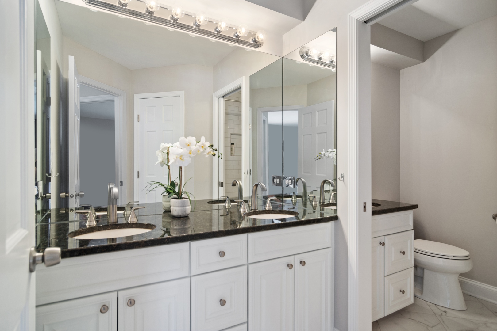 6238 Pine Tree Drive Long Grove, IL 60047 - Photo 21 of 28 a bathroom with a double vanity sink and mirror with toilet
