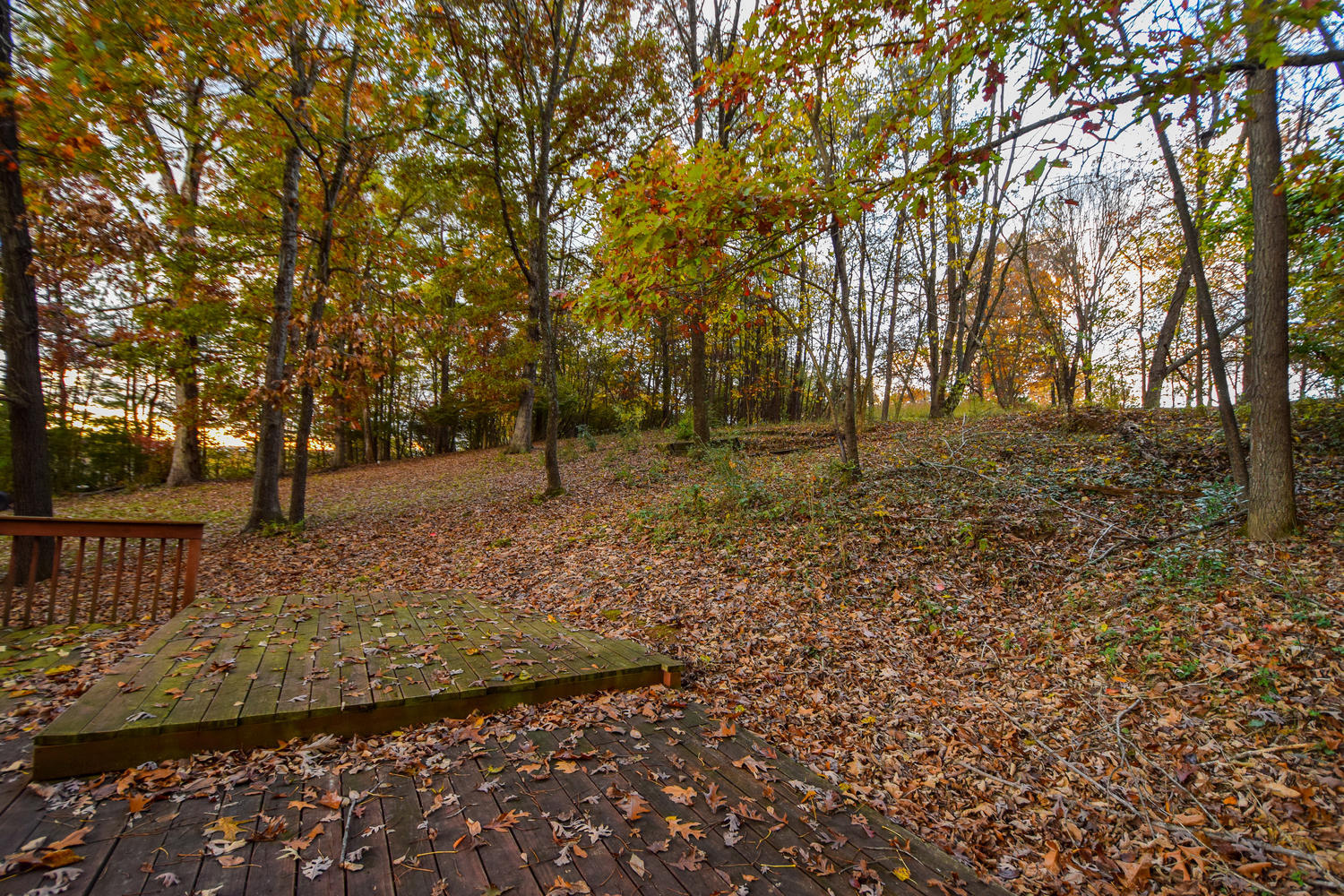 3107 Corbieshaw Road Southwest Roanoke, VA 24015 - Photo 23 of 28 3107 Corbieshaw Rd SW Roanoke-large-026-