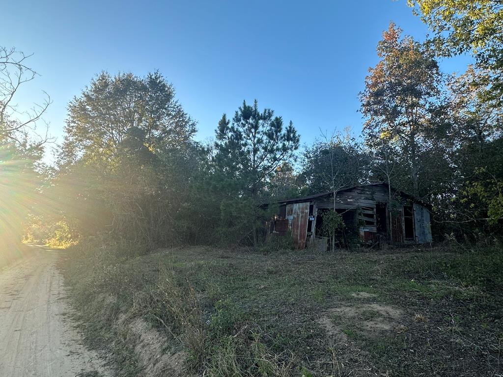 250 Adams Mill Road Clayton, AL 36016 - Photo 65 of 74