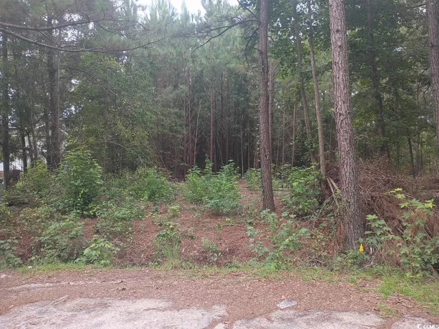 $12,000 | Lot 12 Mcgregor St Lake, Lake City, SC 29560