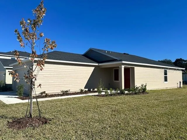 a view of a back yard