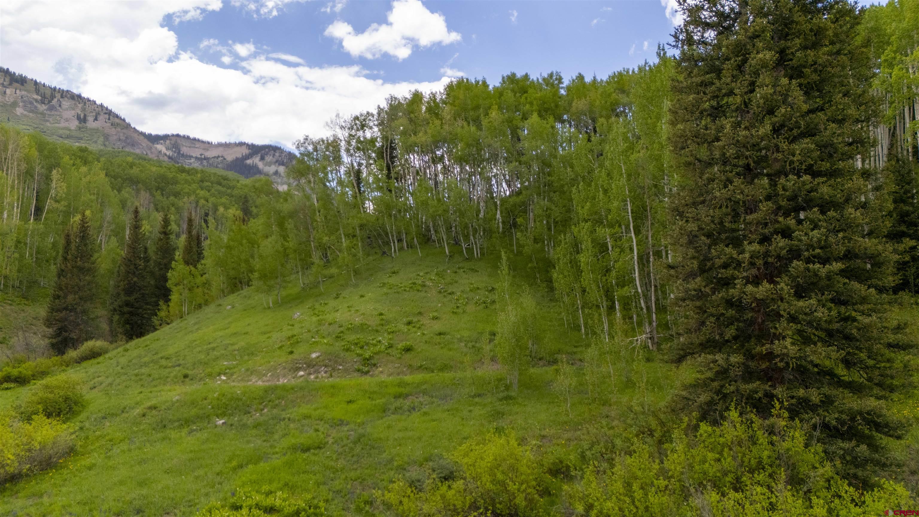Tbd Ohio Creek Road Gunnison, CO 81230 - Photo 13 of 33
