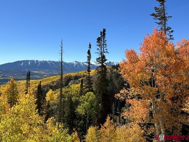 Tbd Ohio Creek Road Gunnison, CO 81230 - Photo 16 of 33