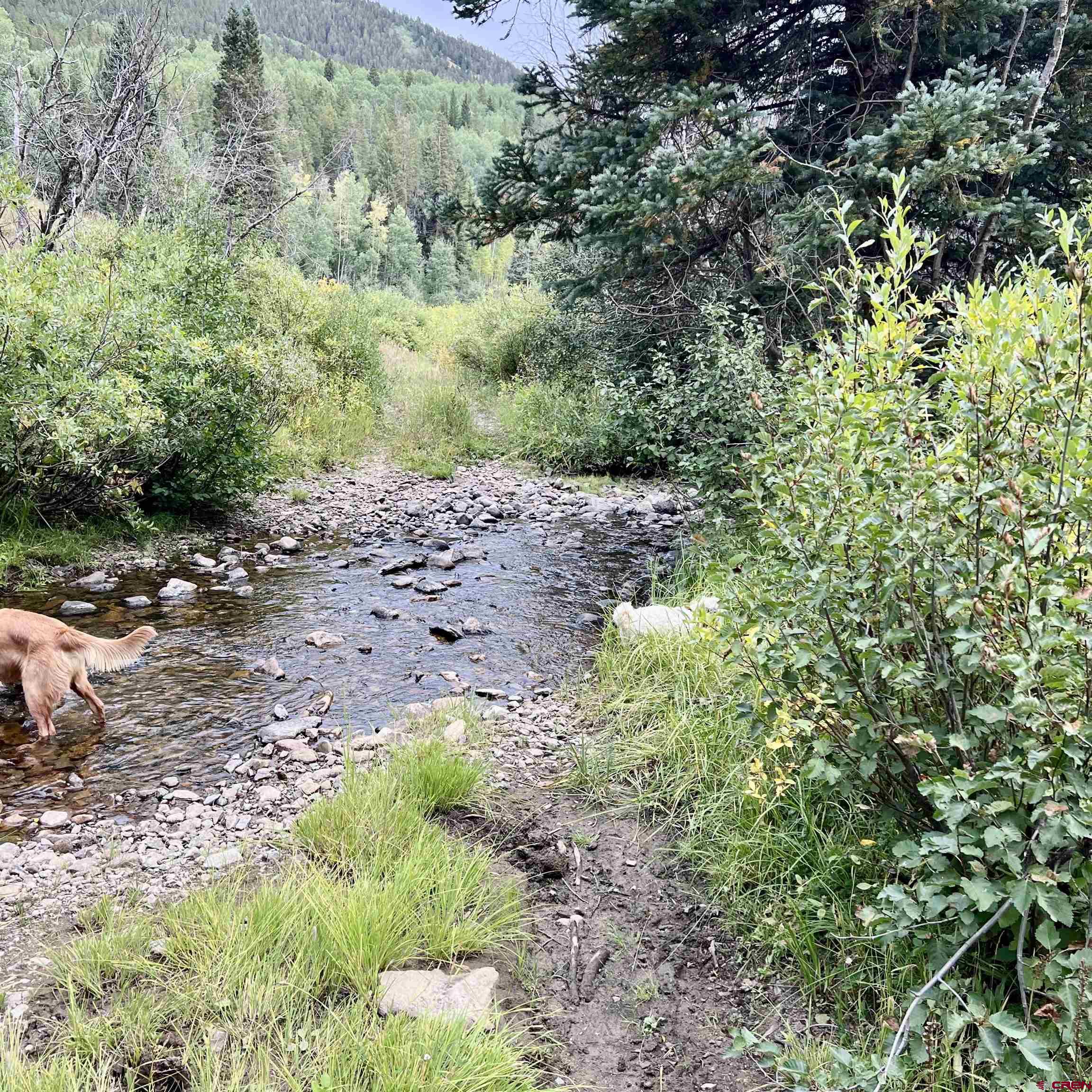 Tbd Ohio Creek Road Gunnison, CO 81230 - Photo 17 of 33