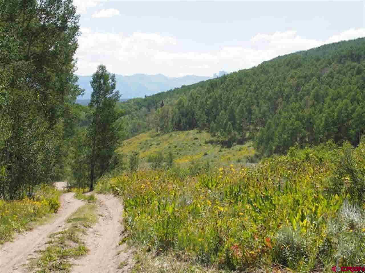 Tbd Ohio Creek Road Gunnison, CO 81230 - Photo 20 of 33