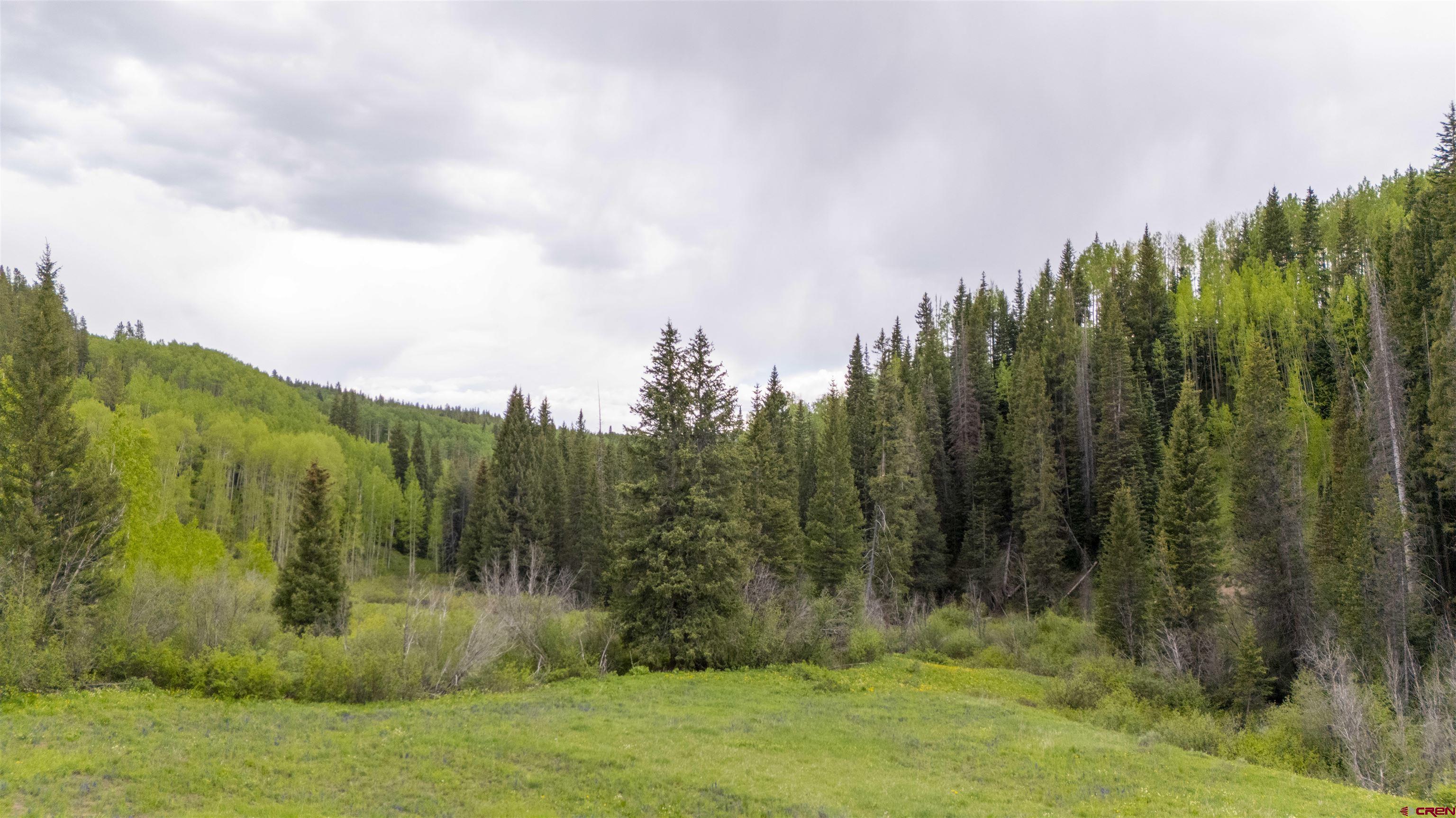 Tbd Ohio Creek Road Gunnison, CO 81230 - Photo 2 of 33