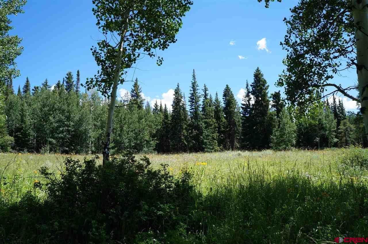 Tbd Ohio Creek Road Gunnison, CO 81230 - Photo 21 of 33