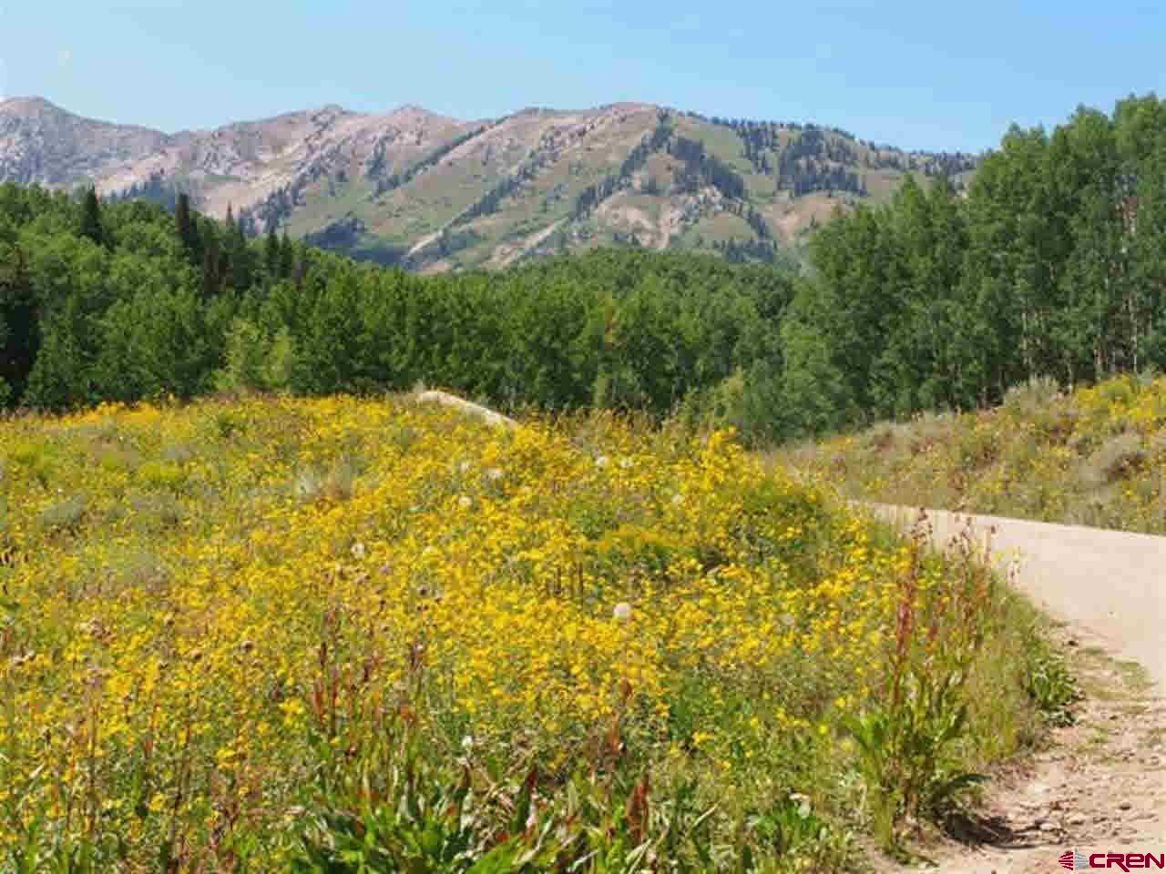 Tbd Ohio Creek Road Gunnison, CO 81230 - Photo 23 of 33