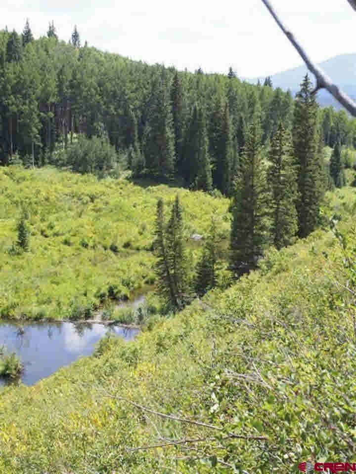 Tbd Ohio Creek Road Gunnison, CO 81230 - Photo 24 of 33