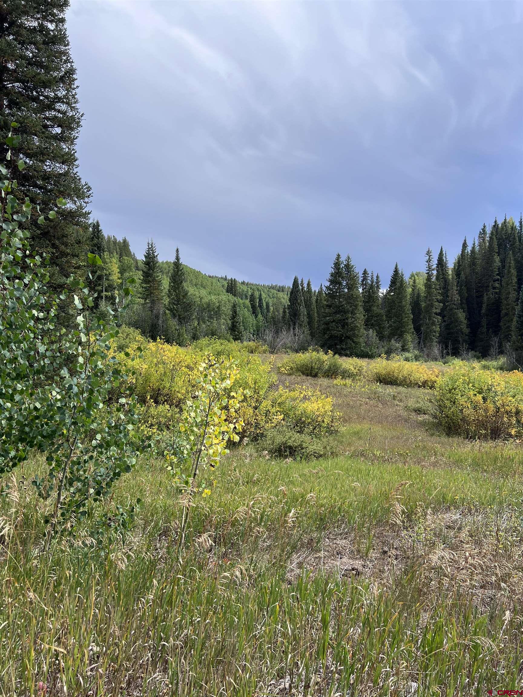 Tbd Ohio Creek Road Gunnison, CO 81230 - Photo 26 of 33