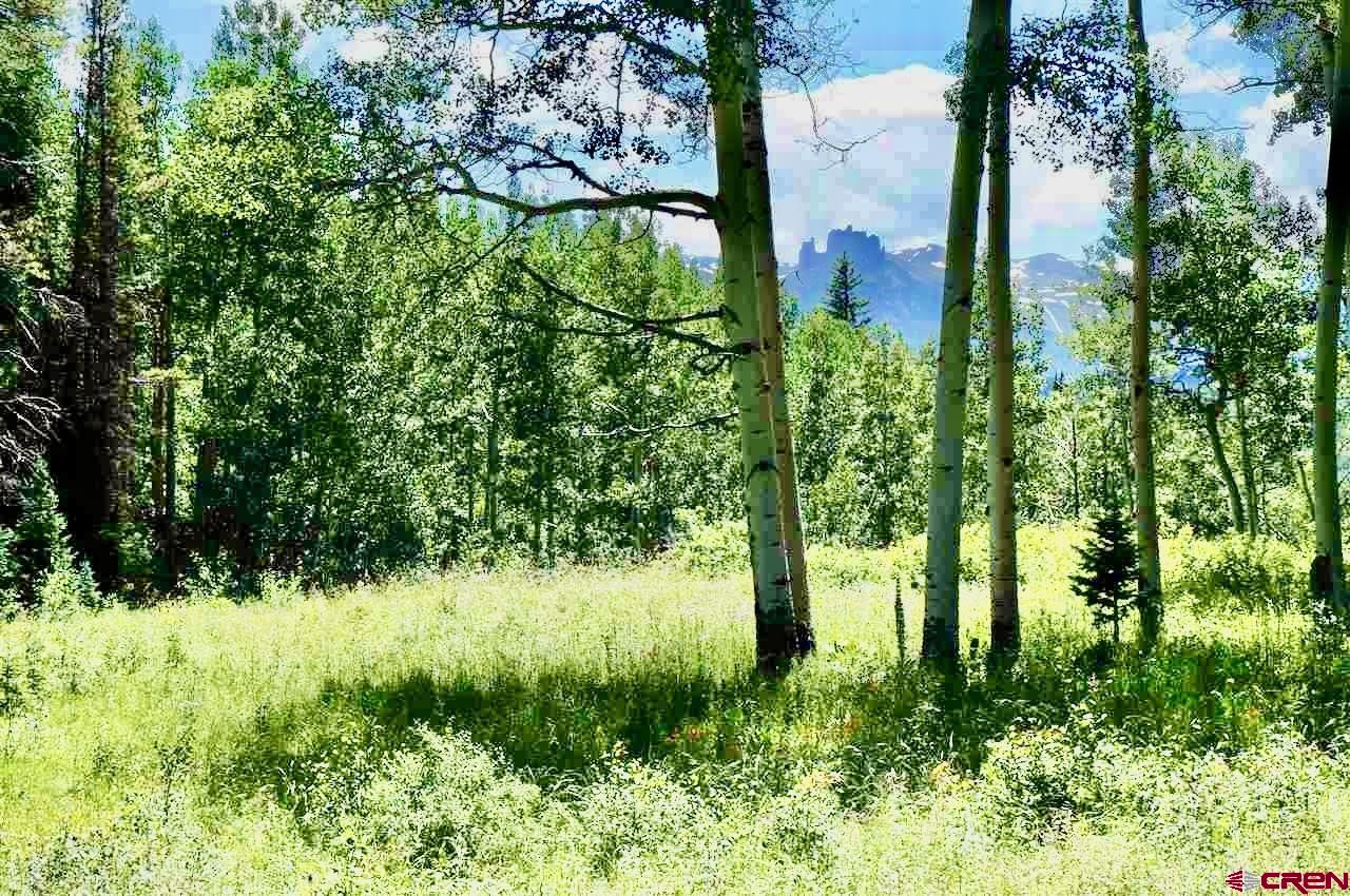 Tbd Ohio Creek Road Gunnison, CO 81230 - Photo 28 of 33