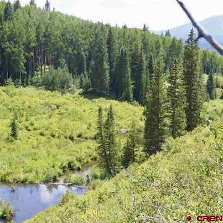 Tbd Ohio Creek Road Gunnison, CO 81230 - Photo 30 of 33