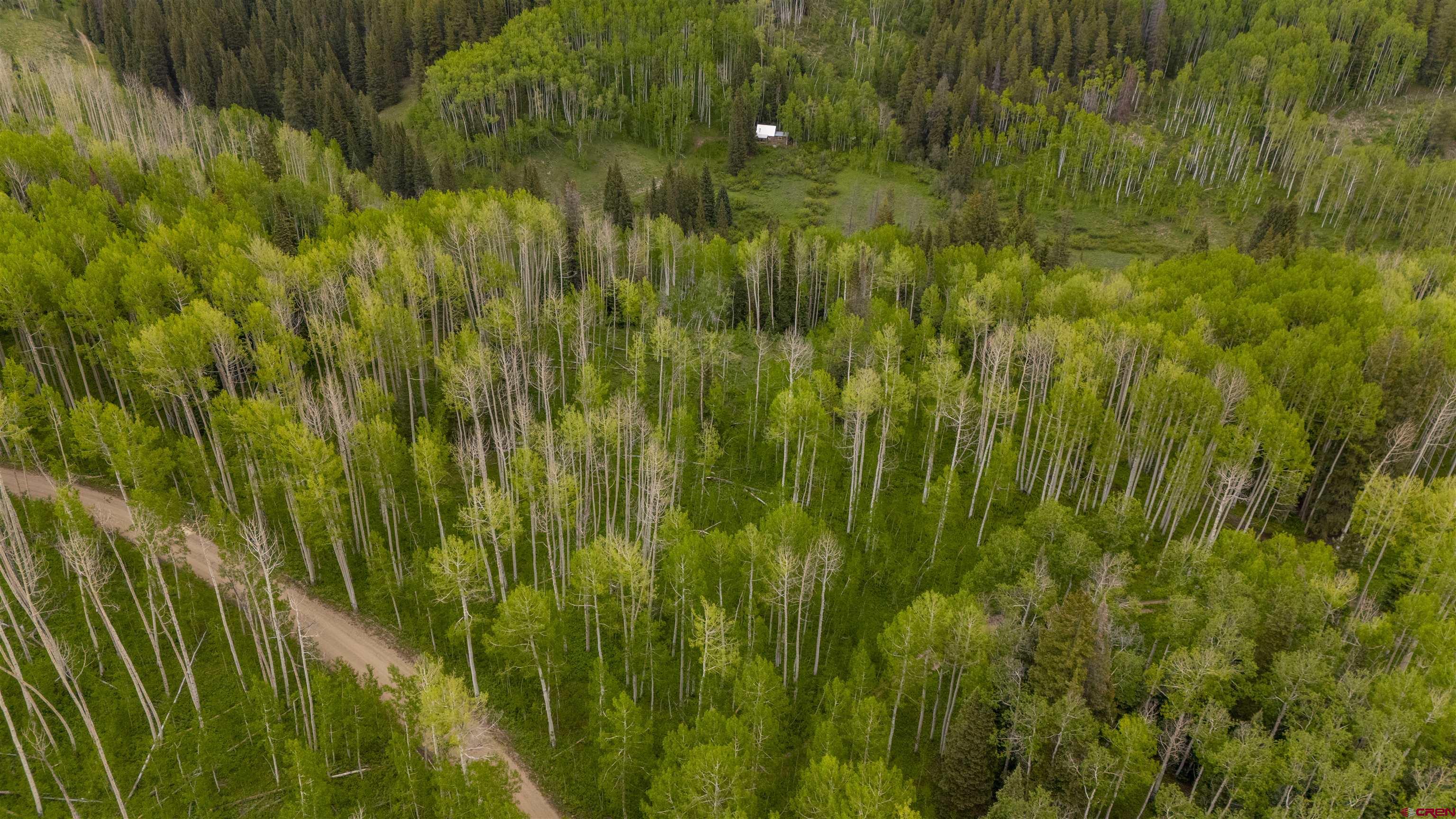 Tbd Ohio Creek Road Gunnison, CO 81230 - Photo 32 of 33