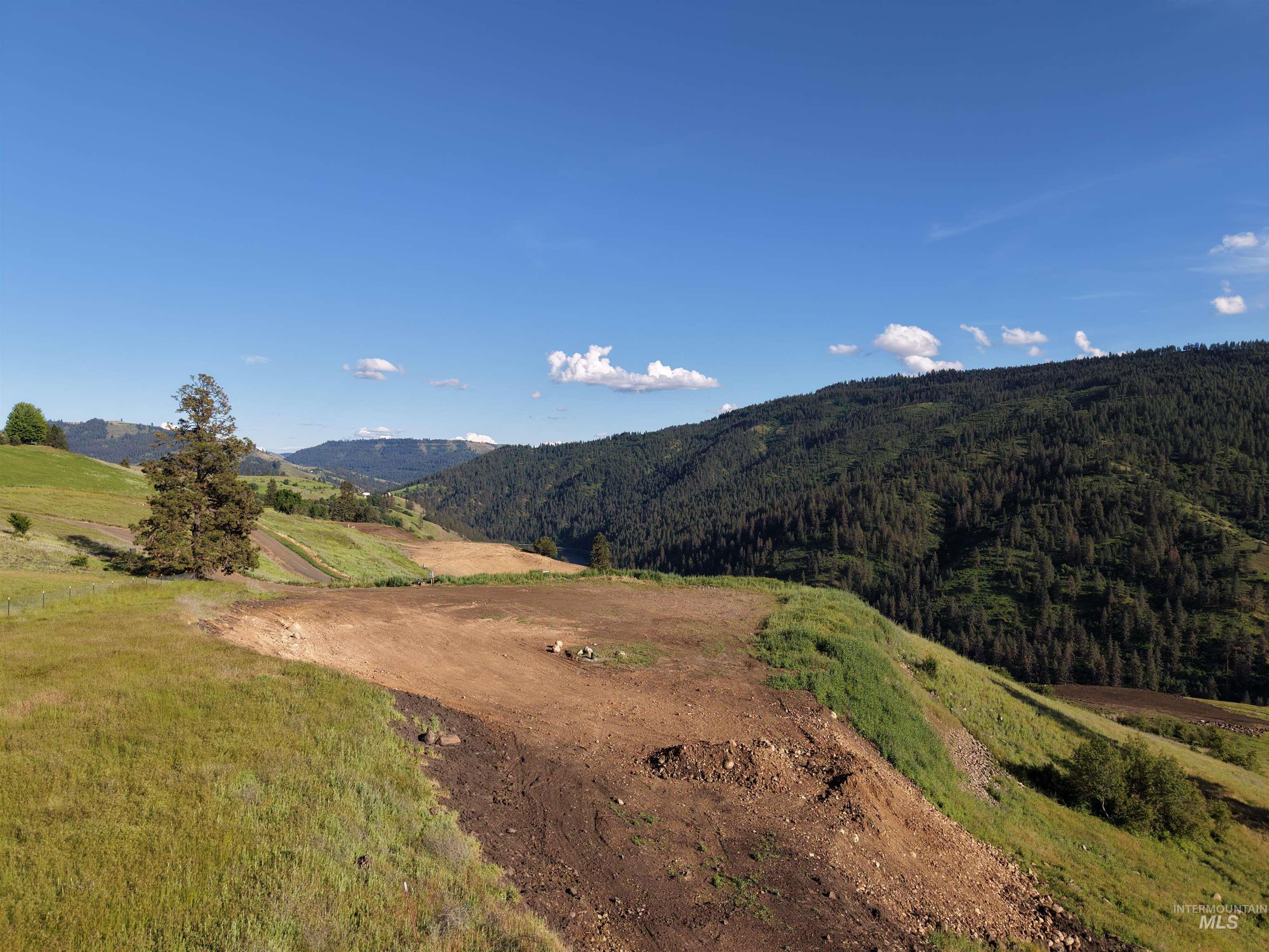 Tbd Lot 5 Tbd Lane Lenore, ID 83541 - Photo 8 of 31