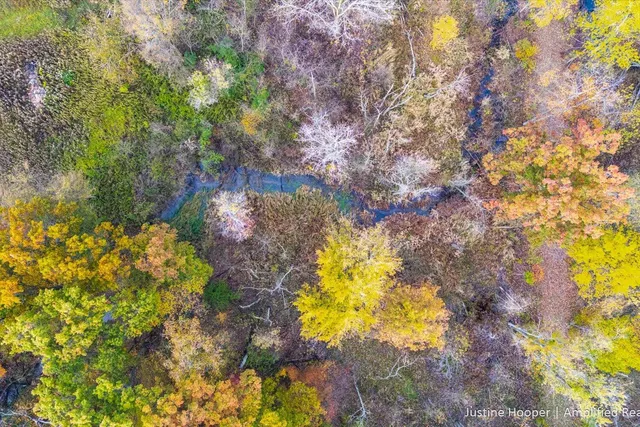 $145,000 | V/l V/l M-79 Highway, Hastings, MI 49058