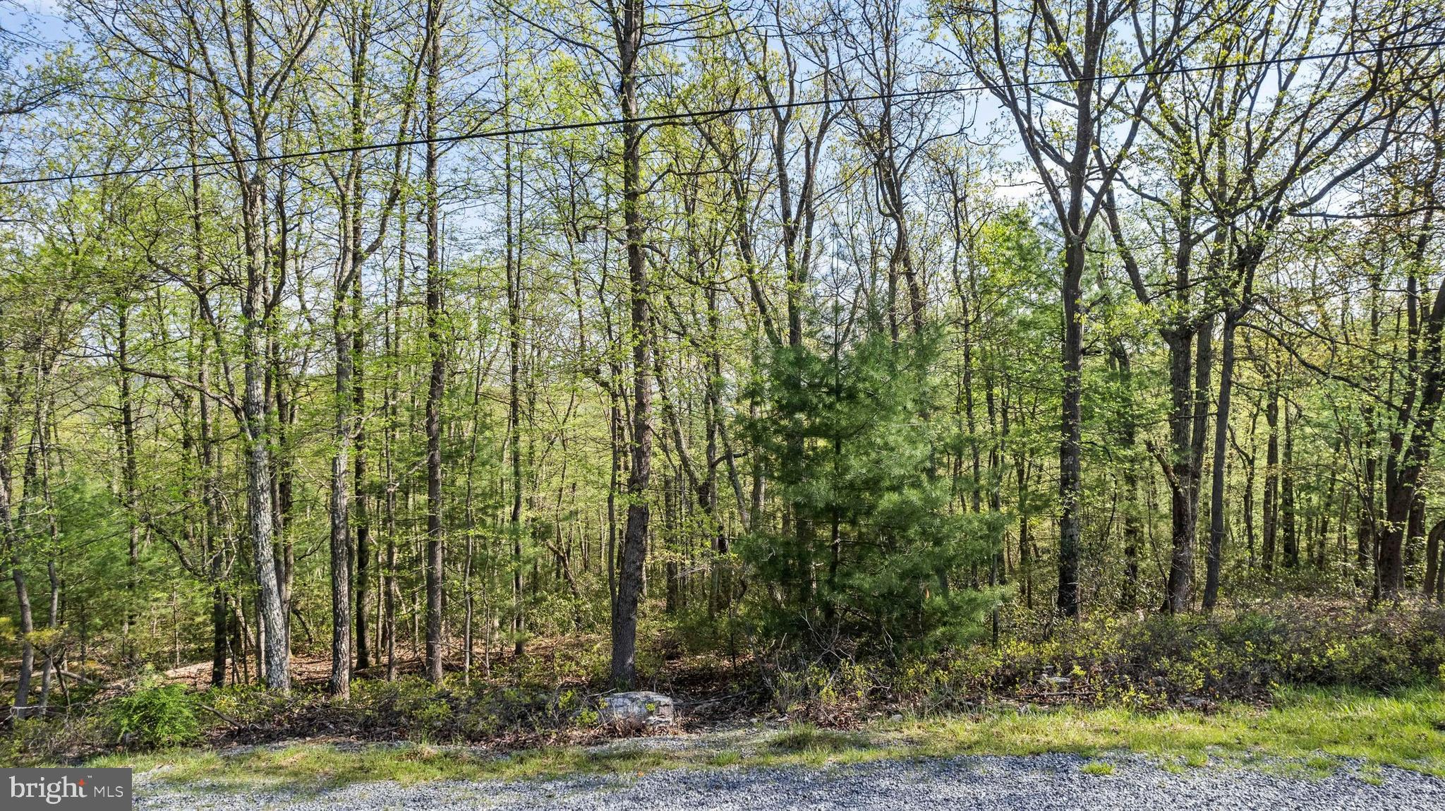 290 Hirschmann Road Biglerville, PA 17307 - Photo 1 of 8 Gallery Image 1