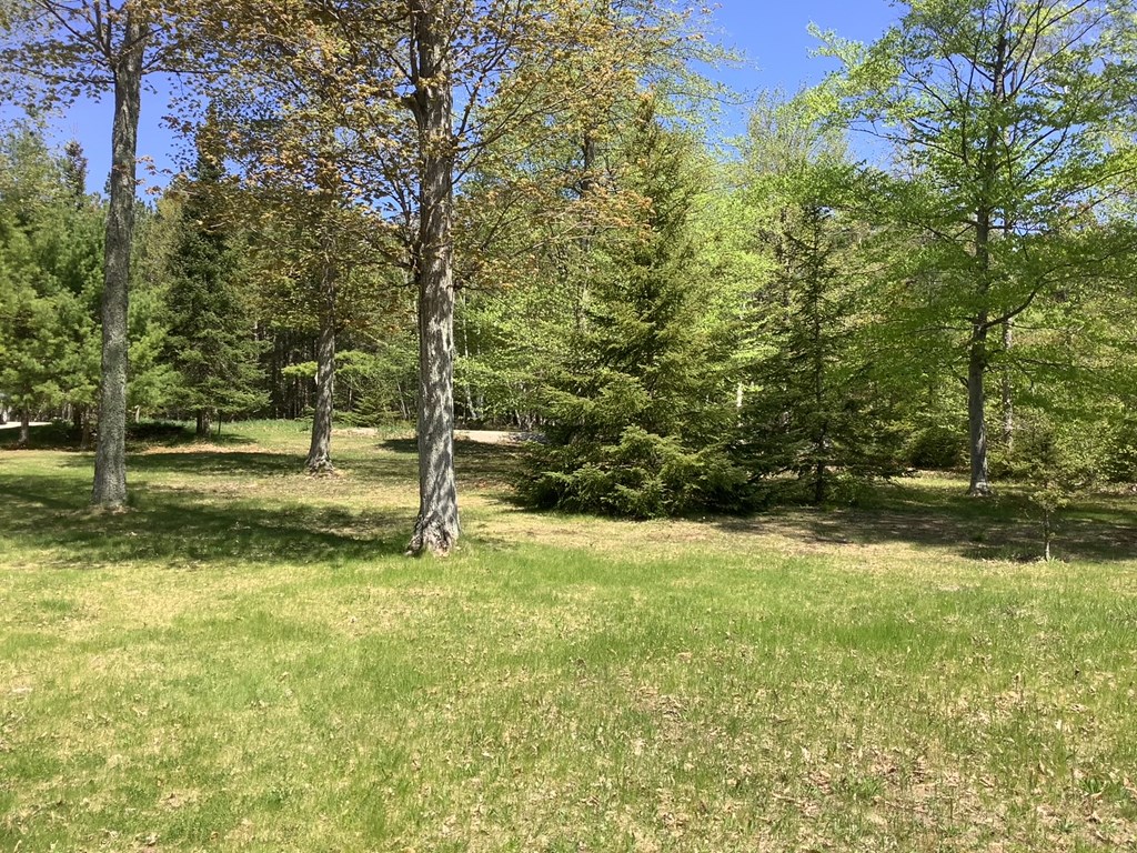 823 Town Line Road Washington Island, WI 54246 - Photo 7 of 31