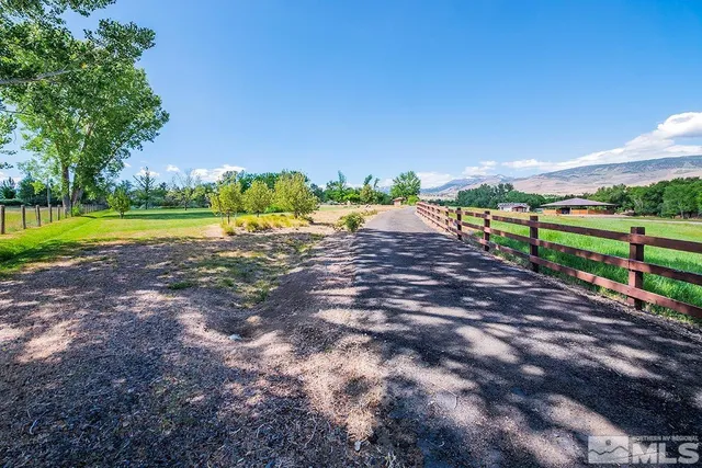 a view of a backyard with large trees