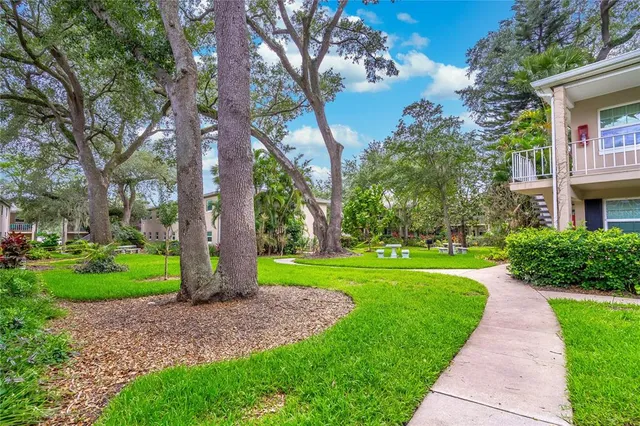 a view of a park with large trees