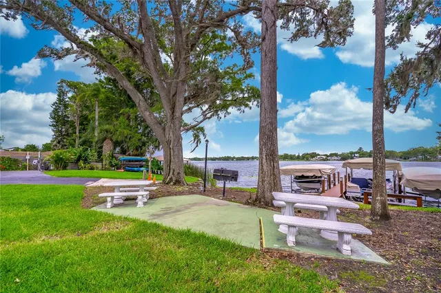 a view of a garden with a bench and trees