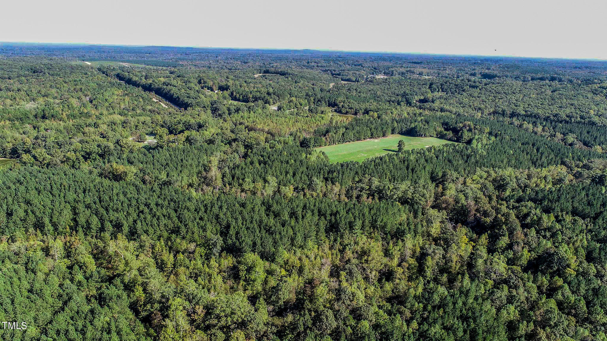 85-acres Mt Harmony Church Road Rougemont, NC 27572 - Photo 3 of 5 a view of a green field with lots of bushes