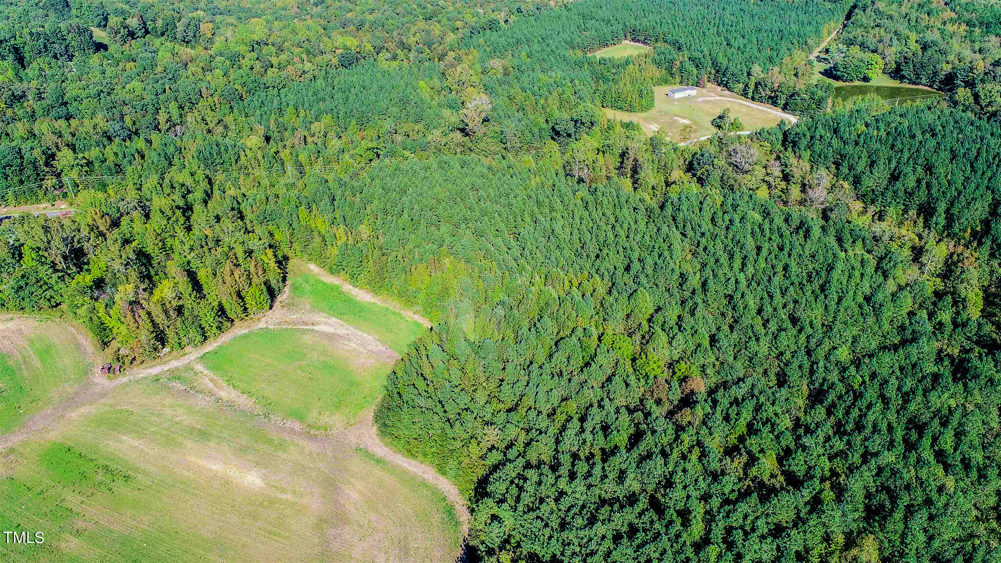 85-acres Mt Harmony Church Road Rougemont, NC 27572 - Photo 4 of 5 a view of a plant in a garden