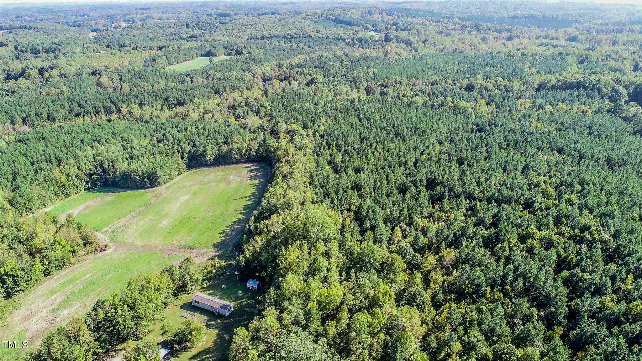 85-acres Mt Harmony Church Road Rougemont, NC 27572 - Photo 5 of 5 a view of a lush green forest with trees and grass