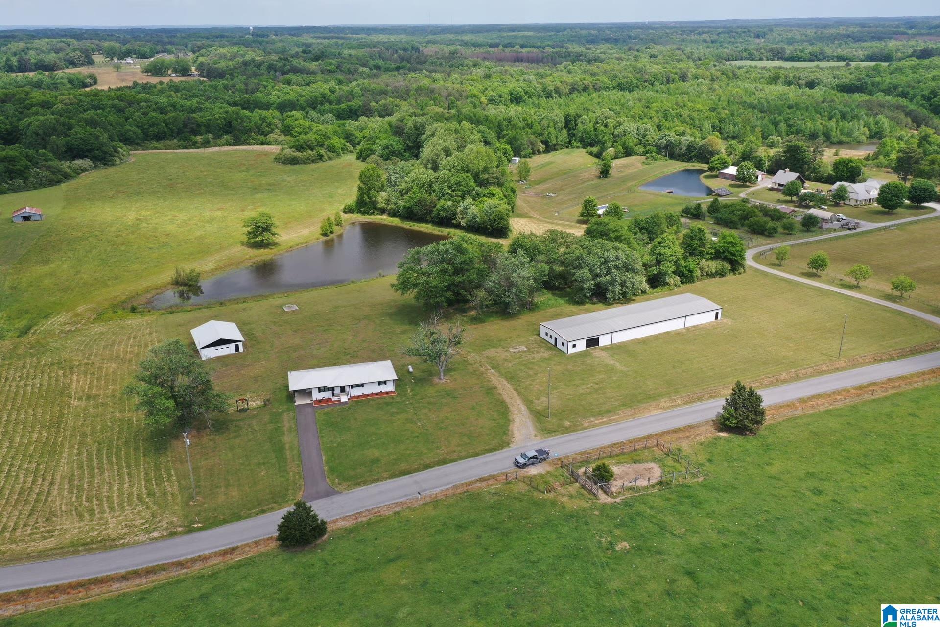 245 Schoolhouse Road Baileyton, AL 35019 - Photo 11 of 20
