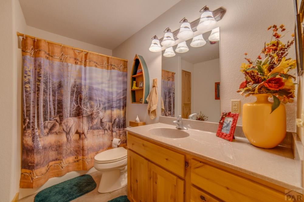 8675 State Highway Rye, CO 81069 - Photo 48 of 75