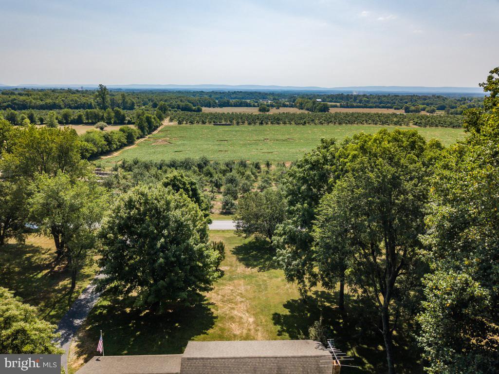 756 Payne Road Winchester, VA 22603 - Photo 39 of 44 Front Views of Apple Orchards & Mountains