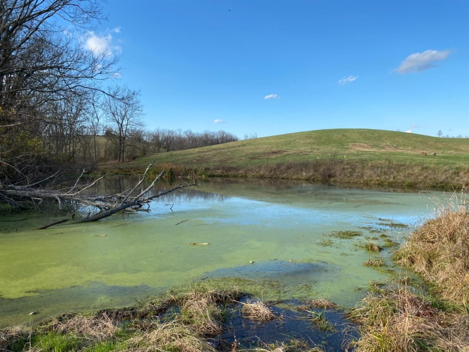 591 Rockridge Road Paris, KY 40361 - Photo 35 of 61 Photo 35