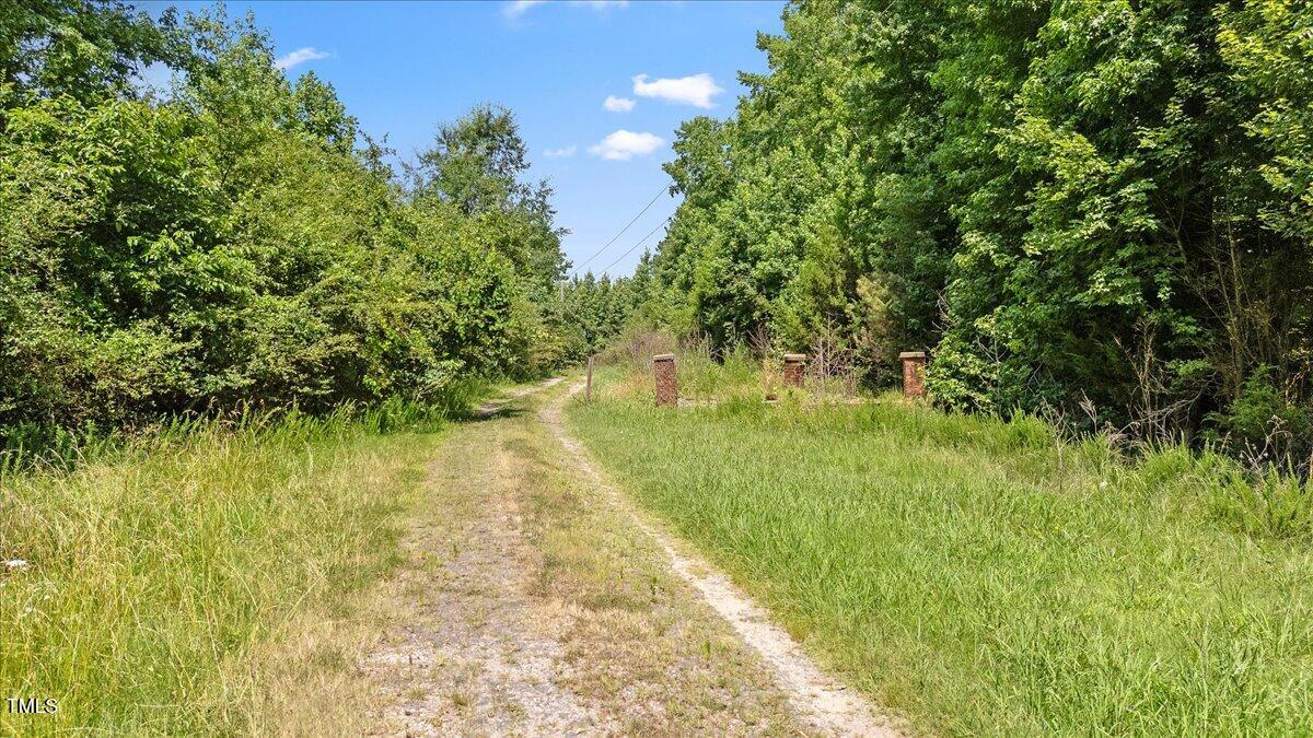 1235 Burchette Road Manson, NC 27553 - Photo 20 of 44 26-burchette rd (26 of 45)