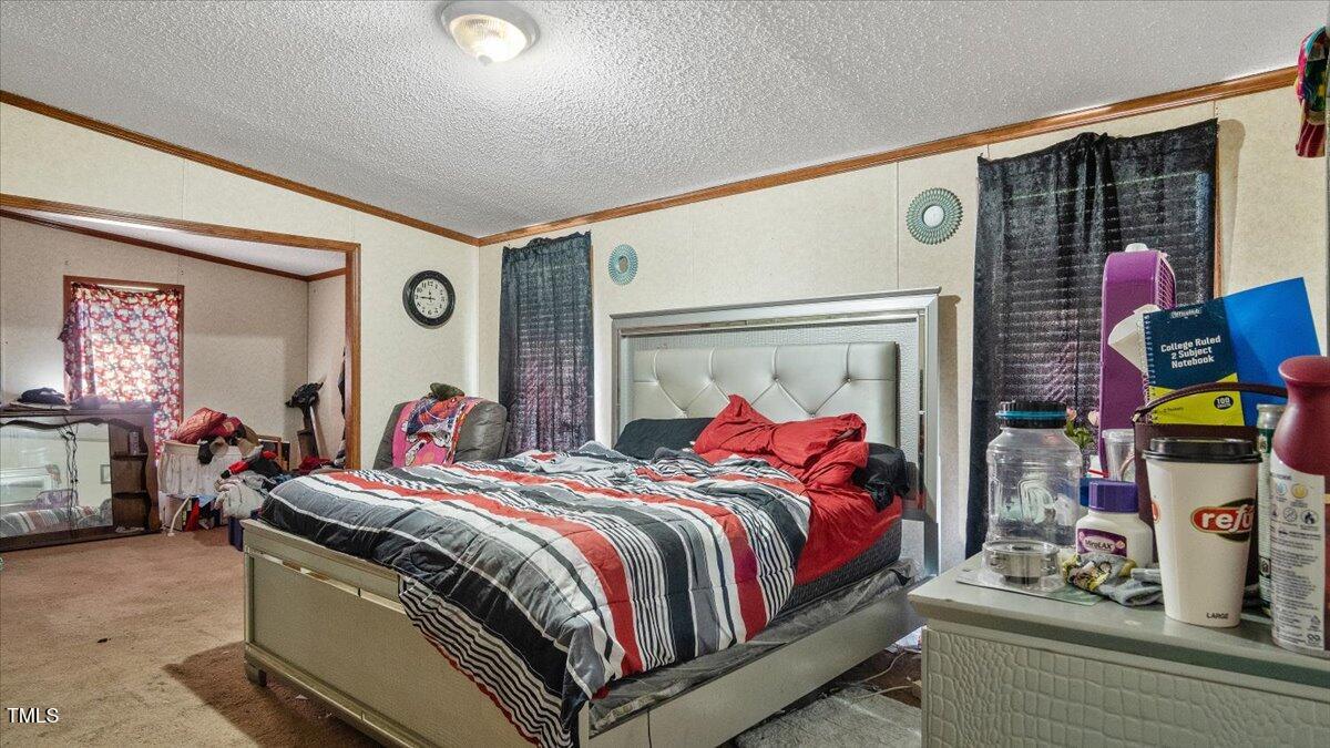 1235 Burchette Road Manson, NC 27553 - Photo 35 of 44 41-burchette rd (41 of 45)