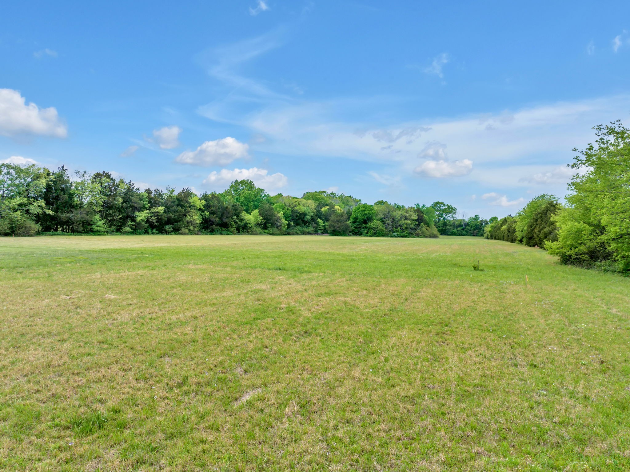 7068 Miller Road Christiana, TN 37037 - Photo 46 of 52 a view of yard with swimming pool and green space