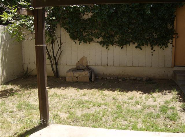2343 East Cactus Road Phoenix, AZ 85022 - Photo 8 of 9 Back Yard