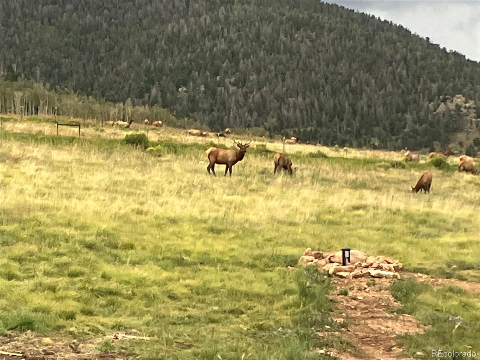1115 Eagles Gate Road Westcliffe, CO 81252 - Photo 34 of 35