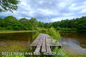 Bird Farm Road Jasper, AL 35503 - Photo 8 of 9 Gallery Image 8