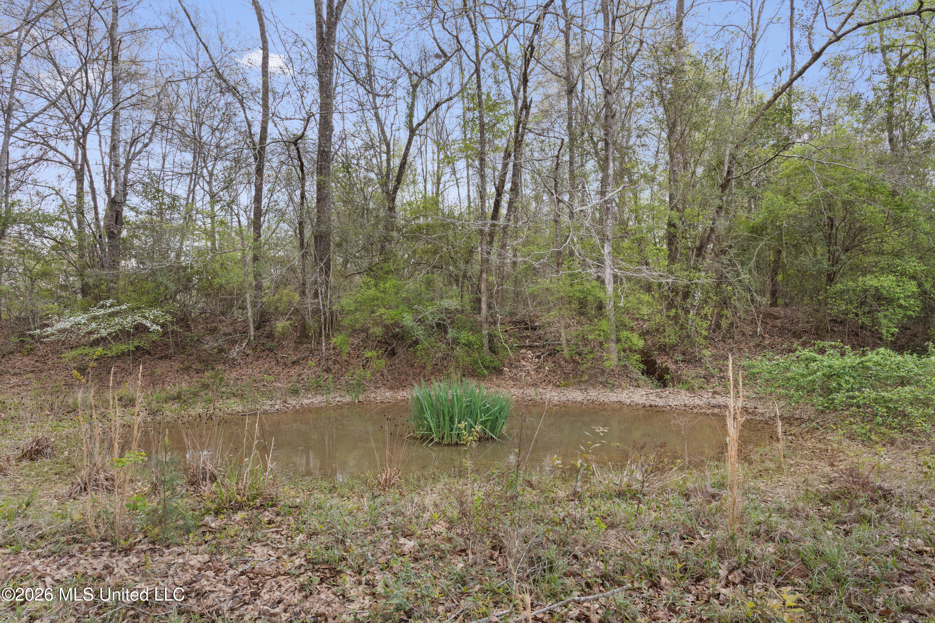 497 Sunflower Road Perkinston, MS 39573 - Photo 55 of 64 0054